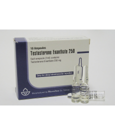 Testosterone enanthate 250 mg / 1 ml