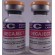 DecaJect (Nandrolone Decanoate) EUROCHEM, 2000mg/10ml