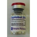 Cypiobol 250, Testosterone Cypionate, European Pharmaceutical